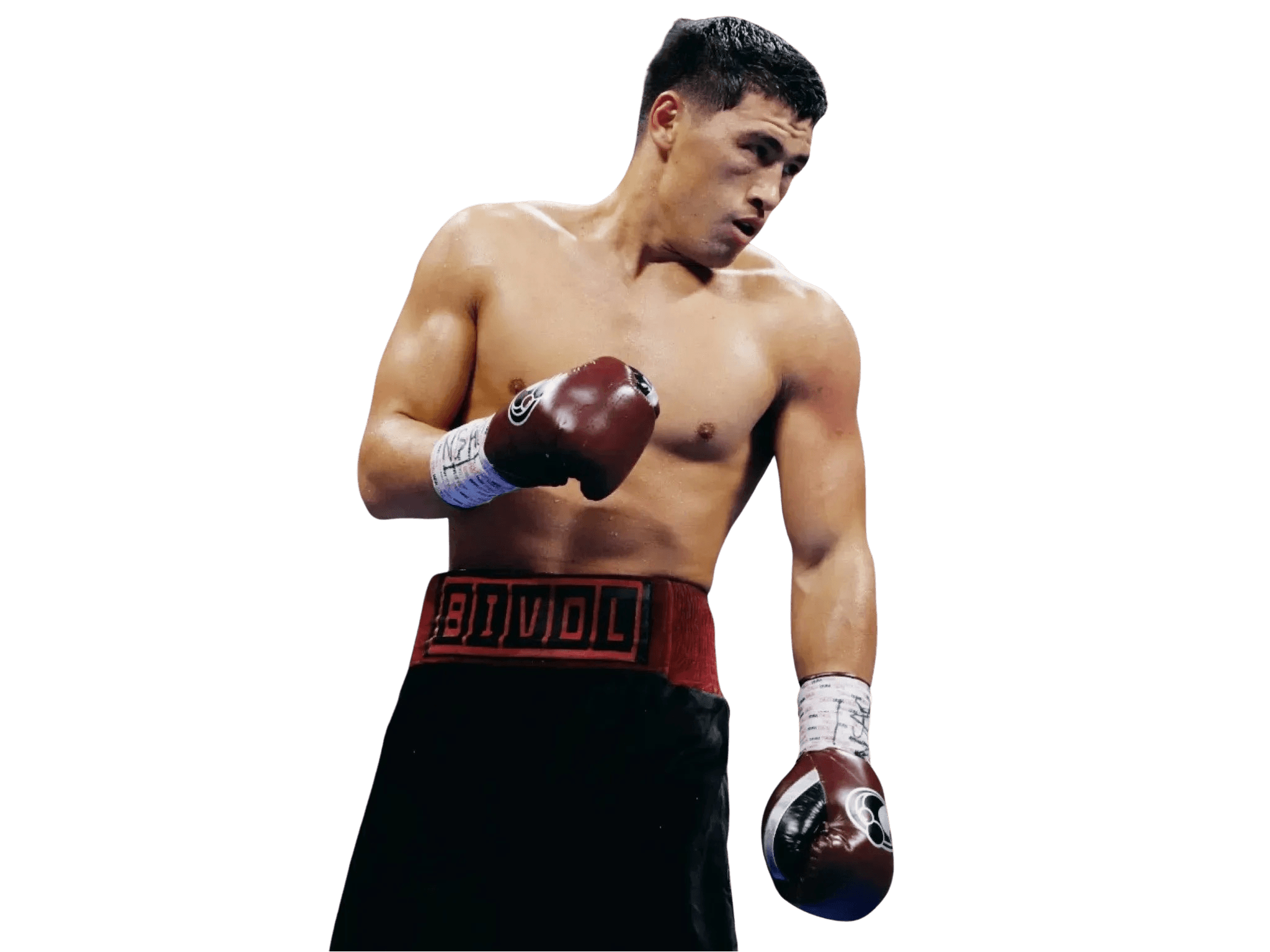 Boxeur Bivol en posture de combat