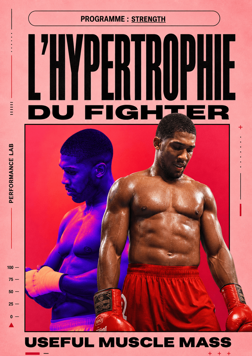 Couverture du programme L'HYPERTROPHIE DU FIGHTER